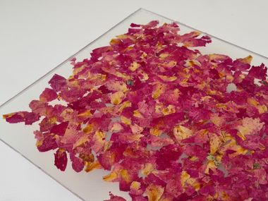 Decorated glass with plant elements VIAPLANT® GLASS VIAPLANT
