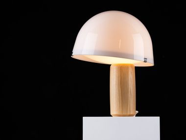 Fluorescent maple table lamp KOKESHI Vertigo Bird