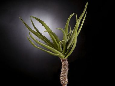Pianta artificiale in poliestere ALOE VGnewtrend