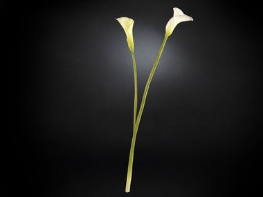 Pianta artificiale in poliestere CALLA LILY VGnewtrend