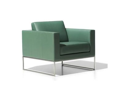 Sled base leather armchair with armrests DS-160 de Sede
