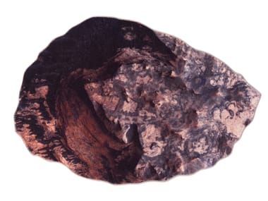 Tappeto ovale in poliammide ERUTUF JCP UNIVERSE