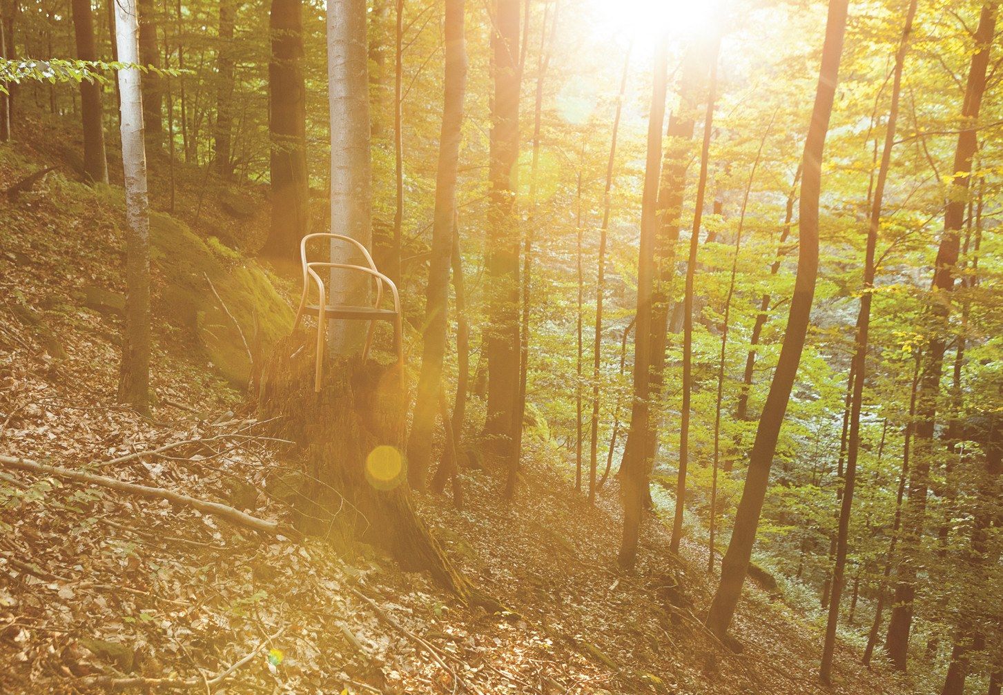 002 by TON - Sedia in legno - 9