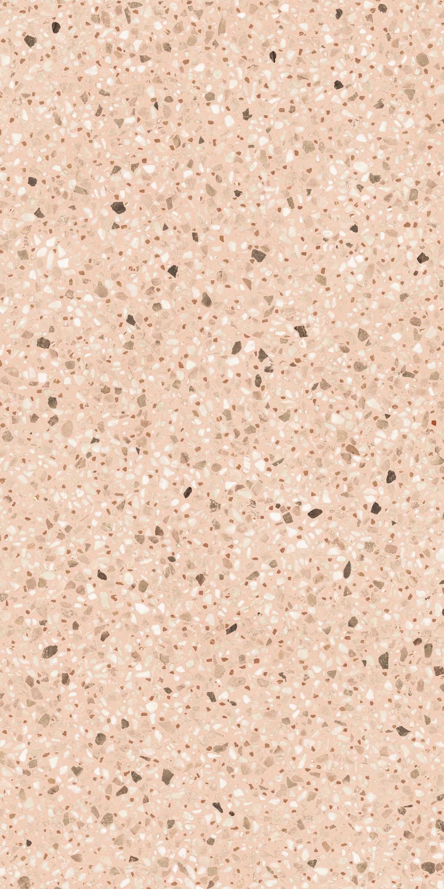 CHICCO ROSA 60X120 2