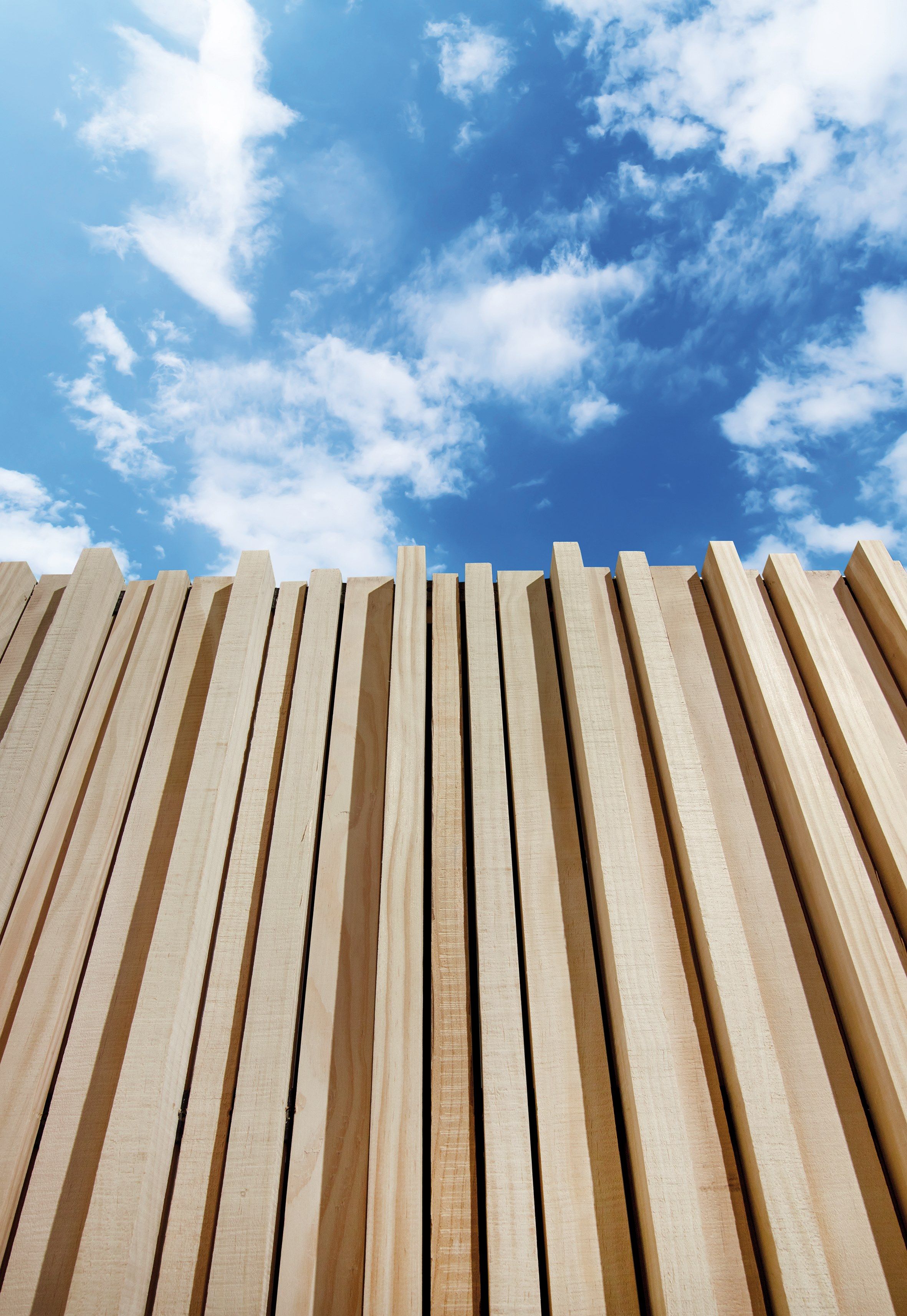 ACCOYA® ECG by Sapiens - Rivestimento tridimensionale in Accoya® - 4