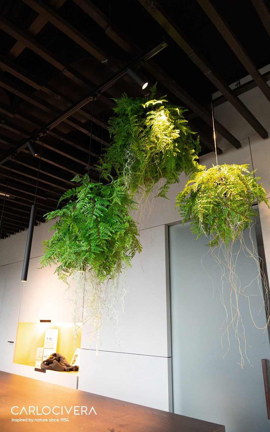 Planta artificial Air plants By Carlo Civera