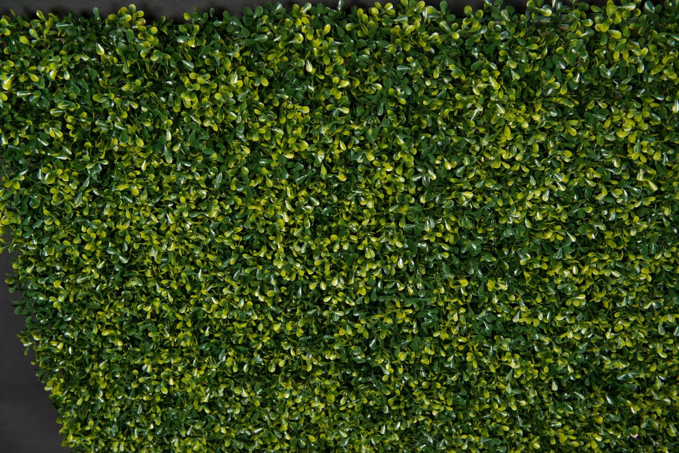 BOSSO FLAT by VGnewtrend - Quadro vegetale - 2