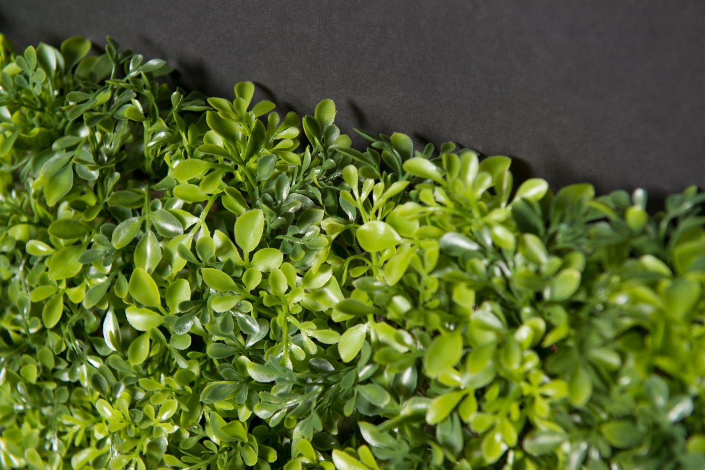 BOSSO MIX by VGnewtrend - Quadro vegetale - 3