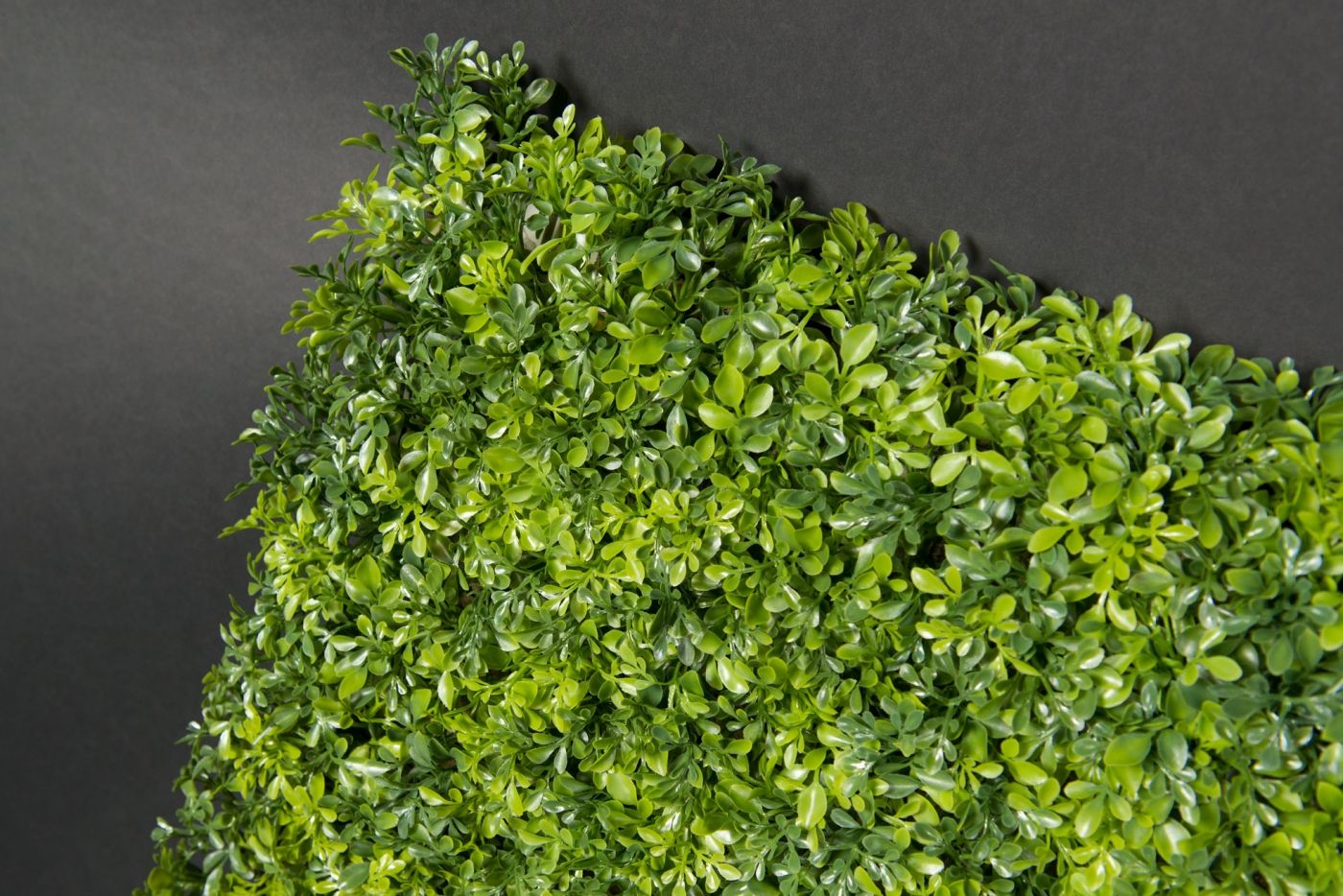 BOSSO MIX by VGnewtrend - Quadro vegetale - 2