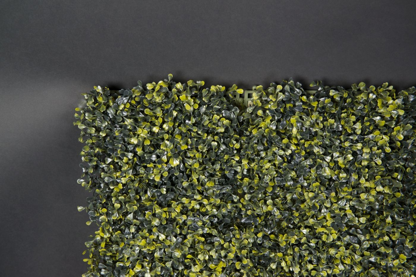 BOSSO by VGnewtrend - Quadro vegetale - 2