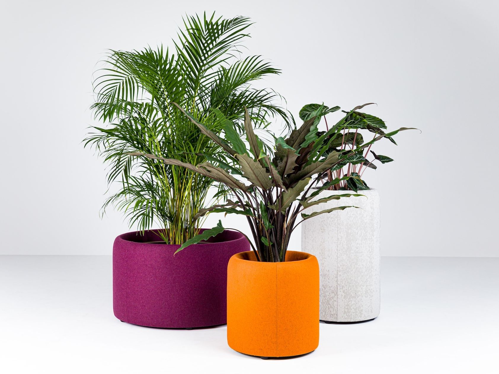BuzziPlanter by BuzziSpace - Vaso in PET riciclato