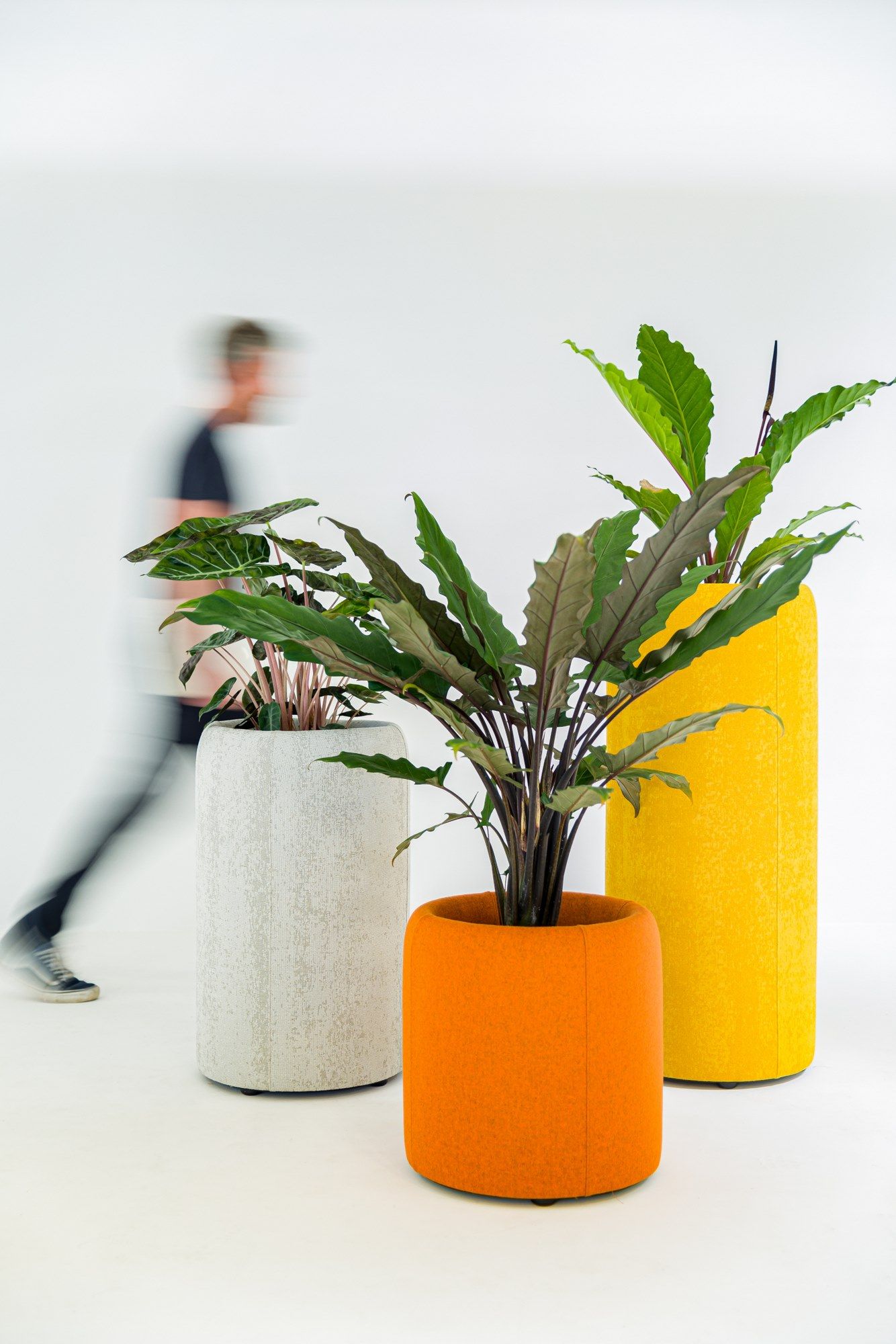 BuzziPlanter by BuzziSpace - Vaso in PET riciclato - 2