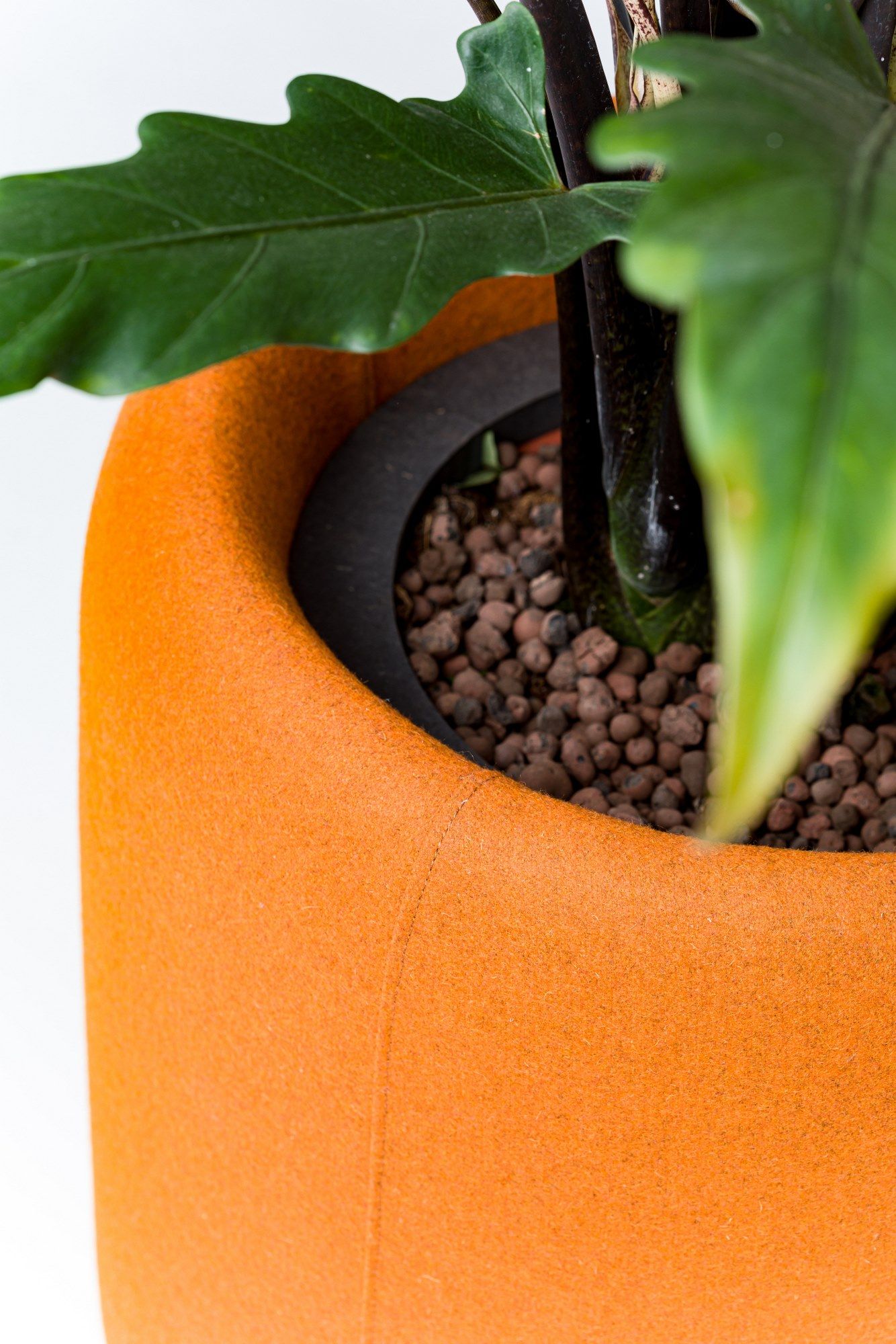 BuzziPlanter by BuzziSpace - Vaso in PET riciclato - 10