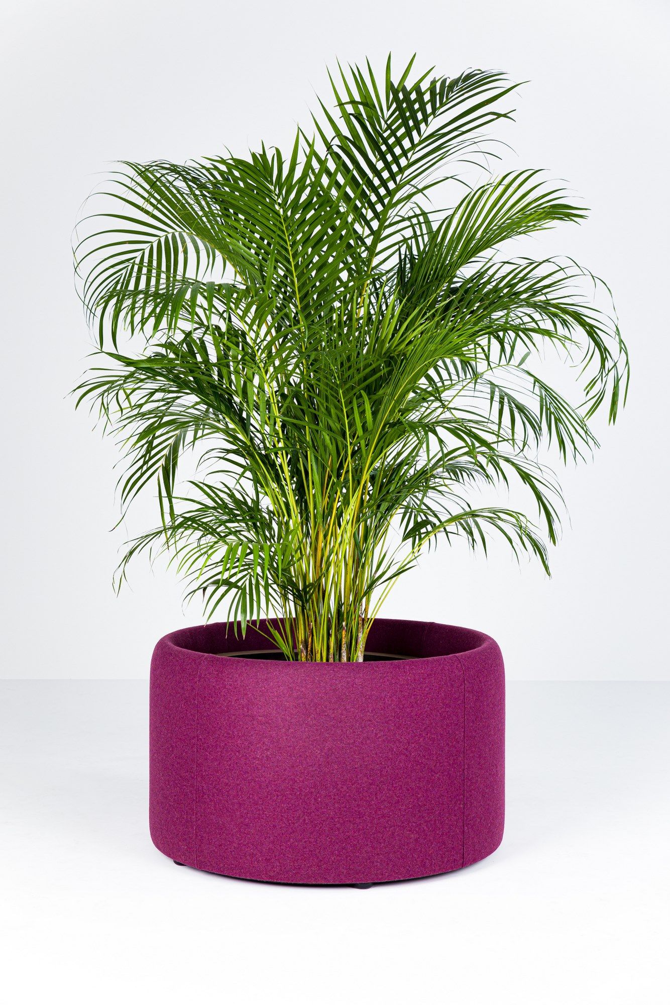BuzziPlanter by BuzziSpace - Vaso in PET riciclato - 4