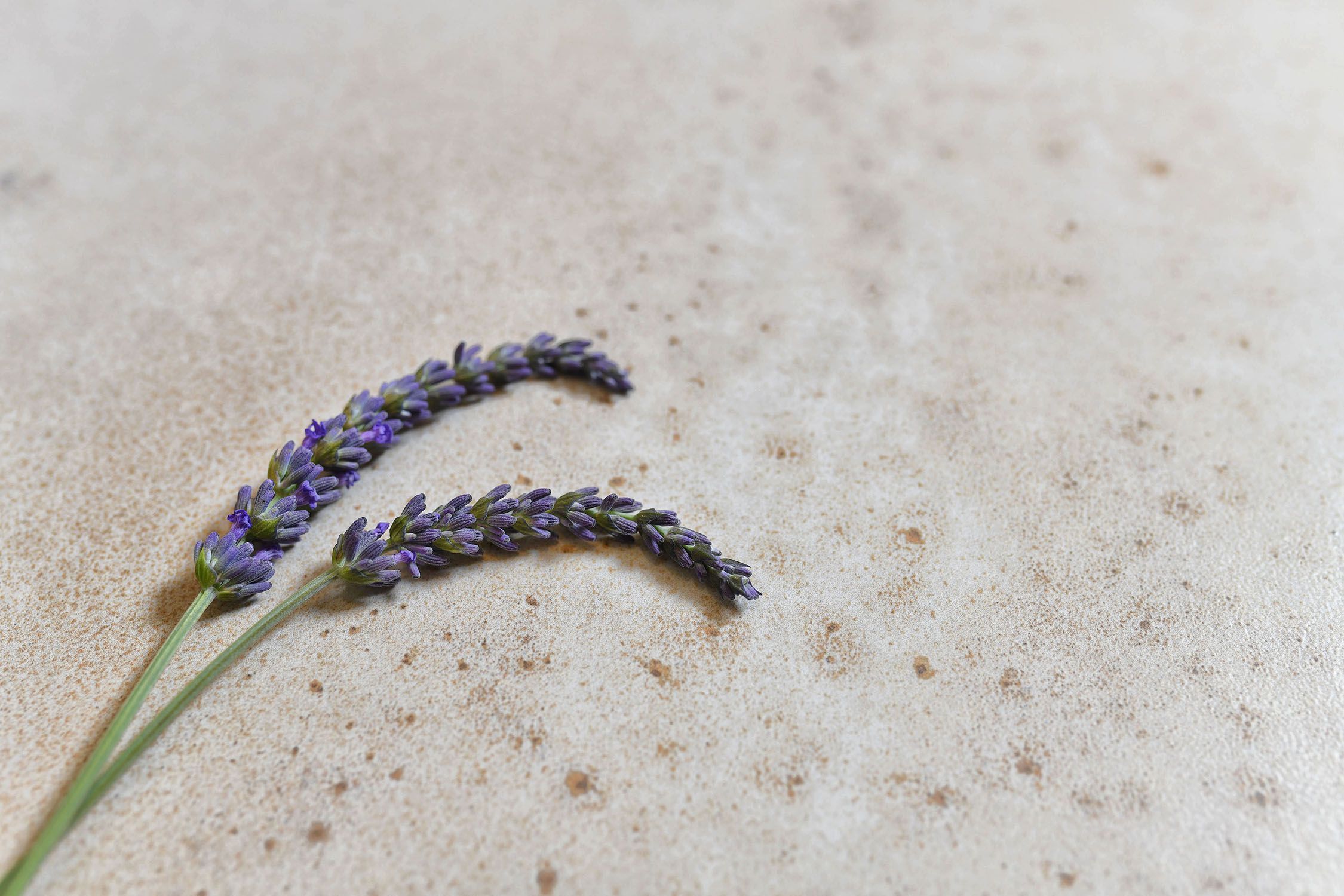 REFLEX by CERAMICA MEDITERRANEA - Pavimento/rivestimento in gres porcellanato smaltato per interni ed esterni - 11