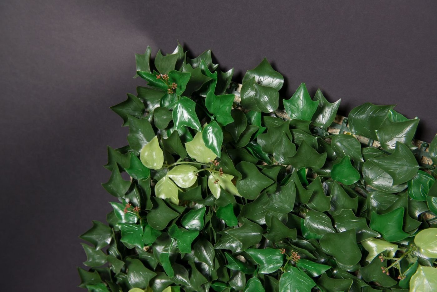 EDERA by VGnewtrend - Quadro vegetale - 2