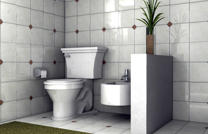 Kit Fissaggio Fischer PFS 12N Per Scaldabagni E Cassette WC - Installazione Facile