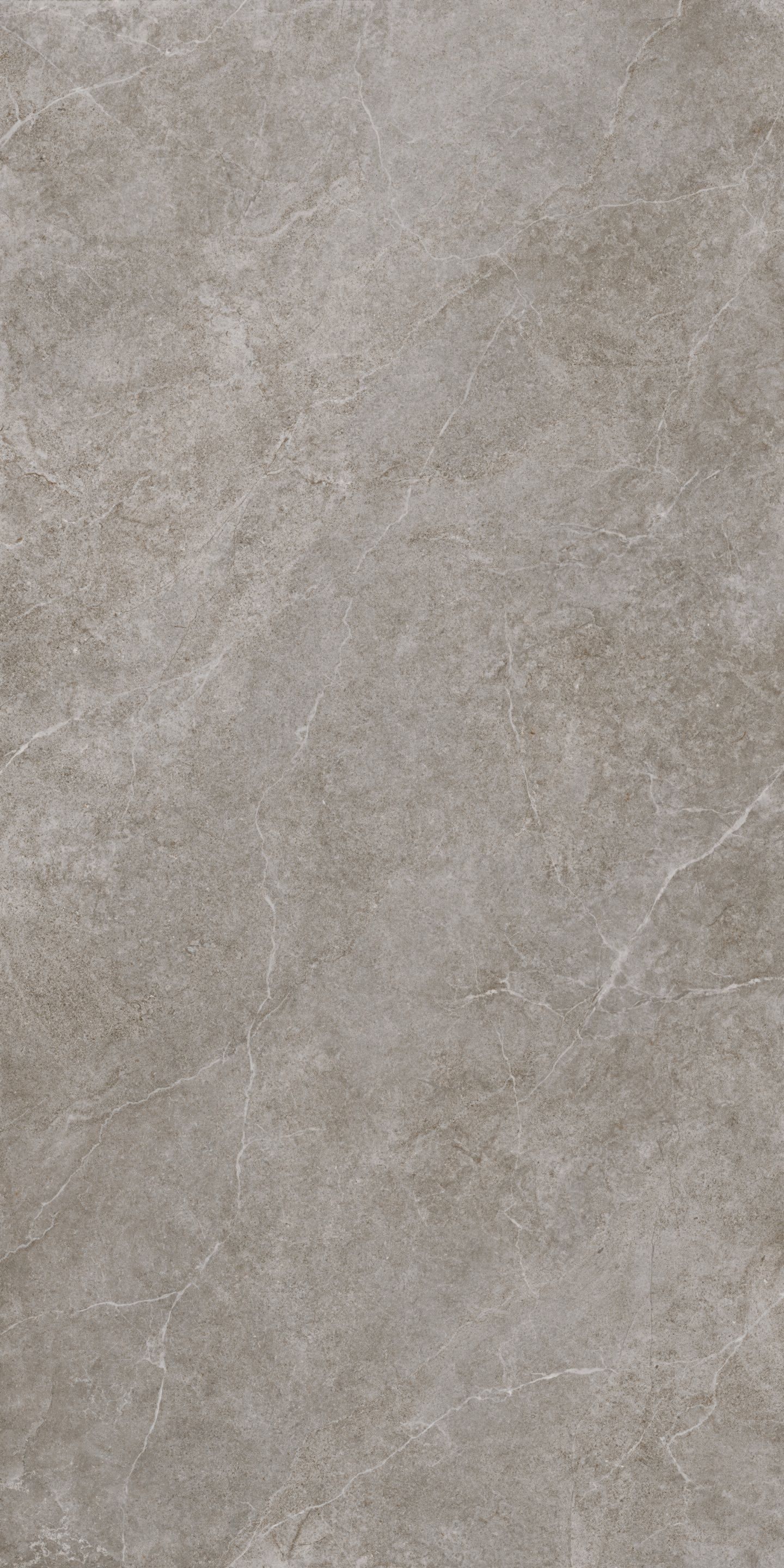LS02AXA12_Limestone Taupe_Matte_A