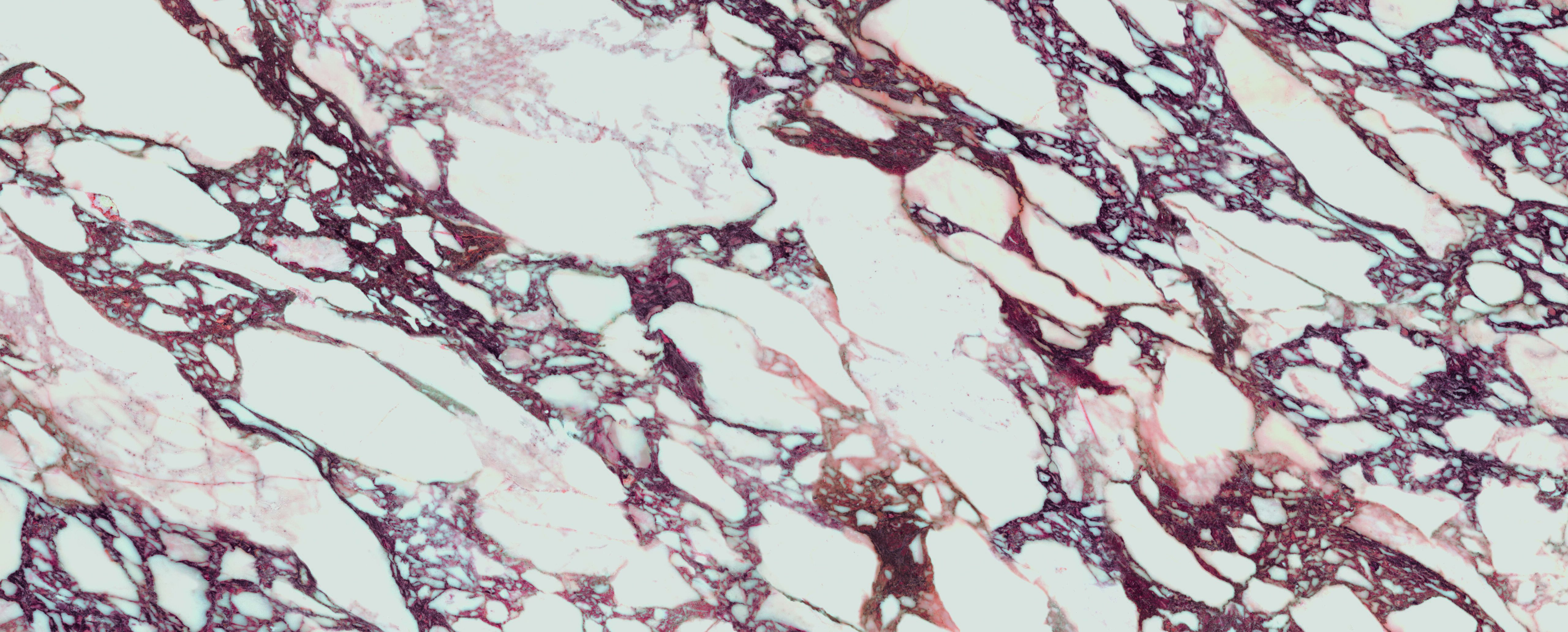 Vassoio In Marmo Naturale Di Calacatta Viola, 25,4 X 15,2 Cm