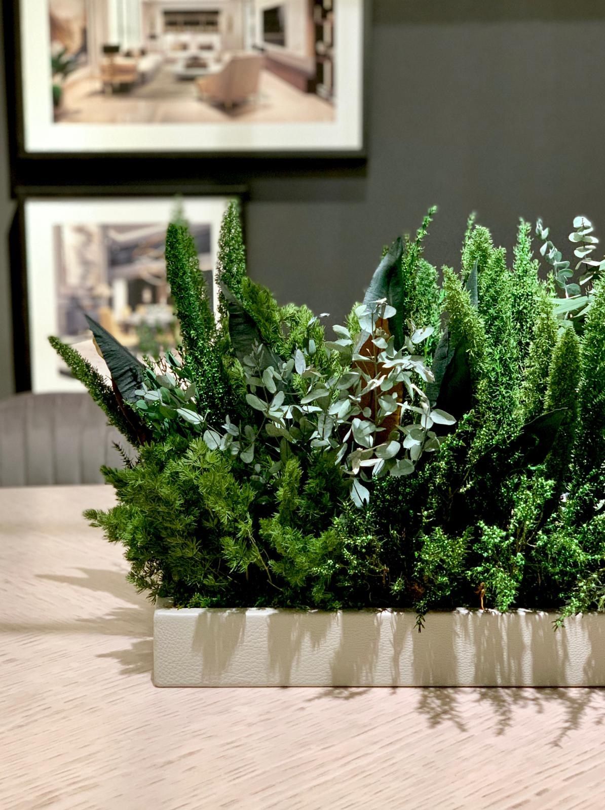 Stabilized plants and moss indoor vertical garden MOSS&PLANTS MID By GREENAREA