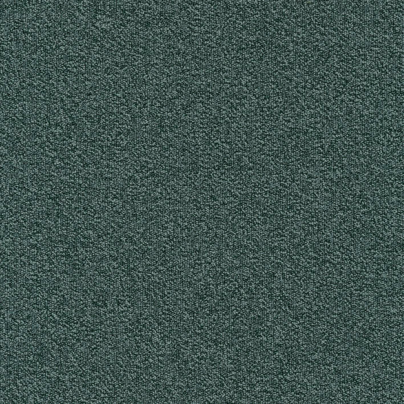 Millennium Nxtgen579