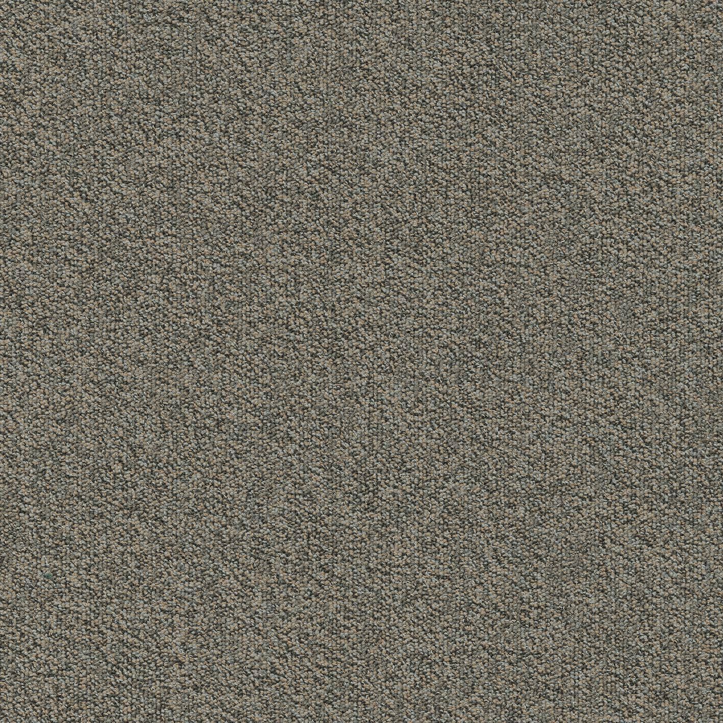 Millennium Nxtgen817