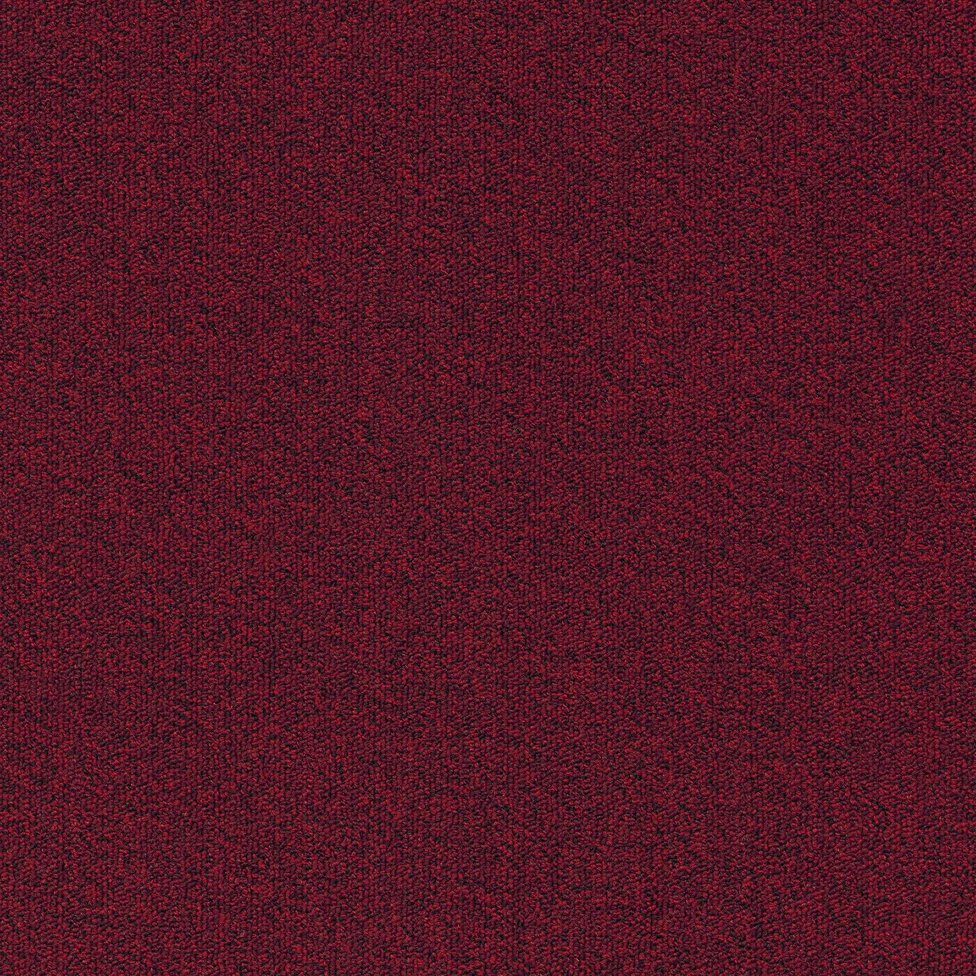 Millennium Nxtgen310