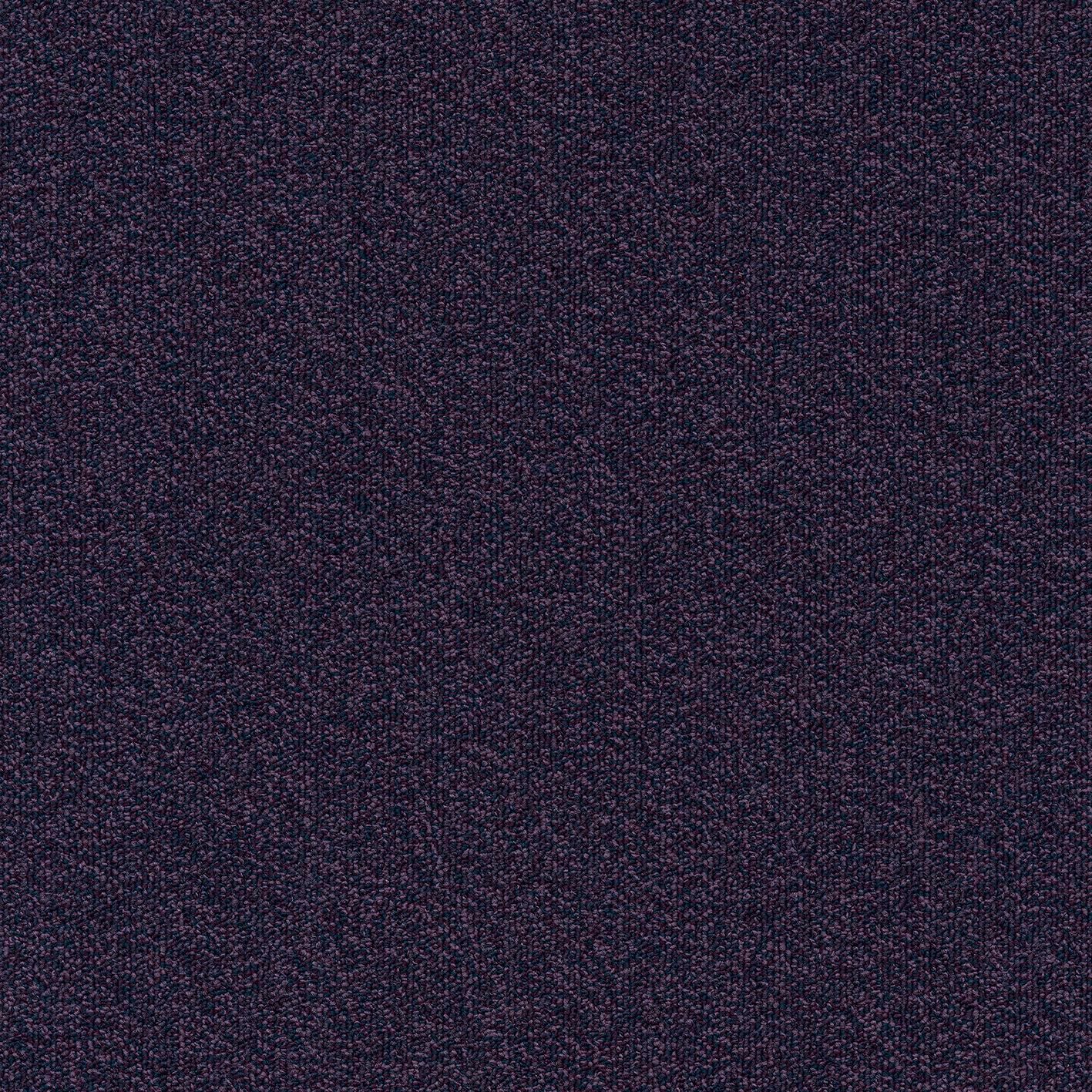 Millennium Nxtgen482