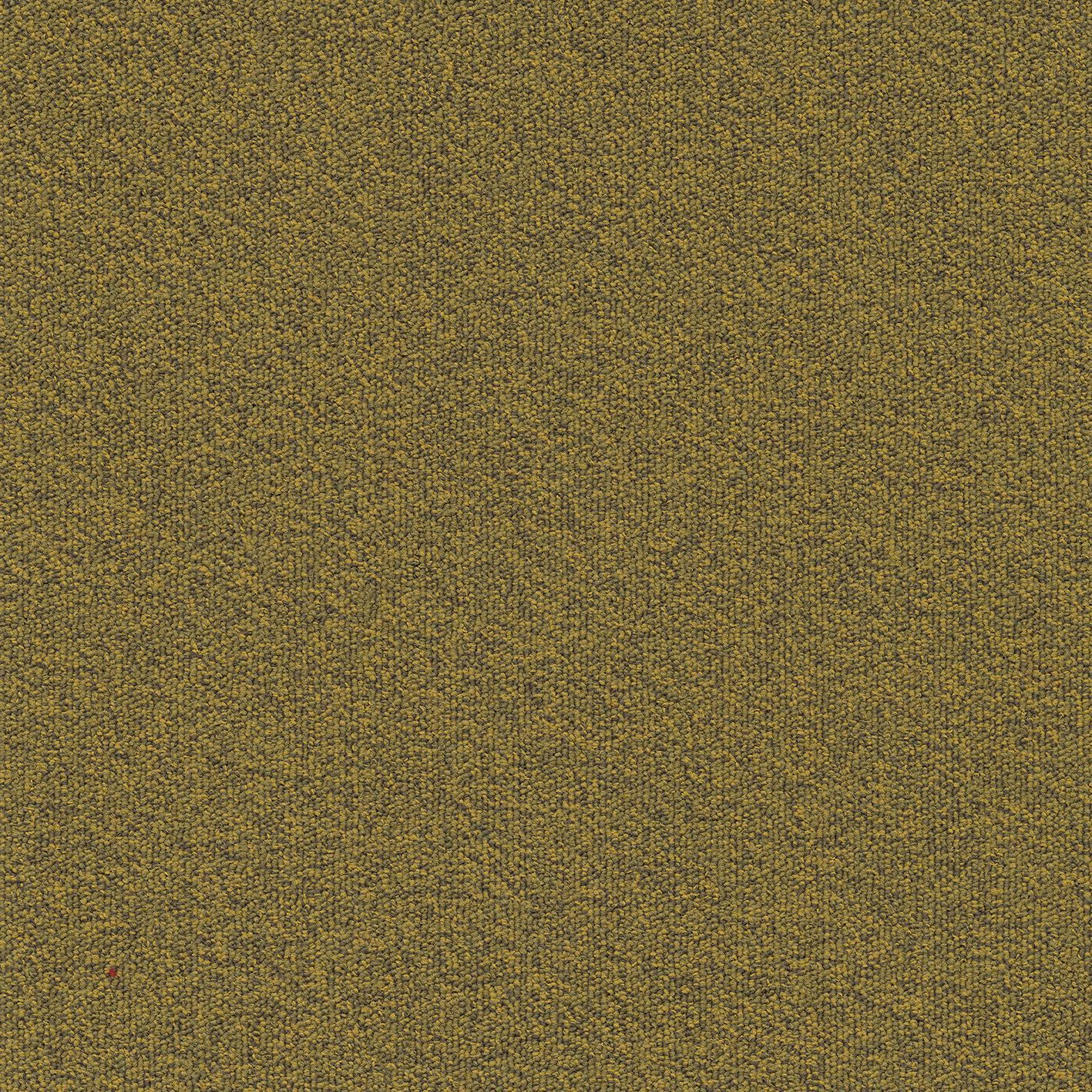 Millennium Nxtgen210