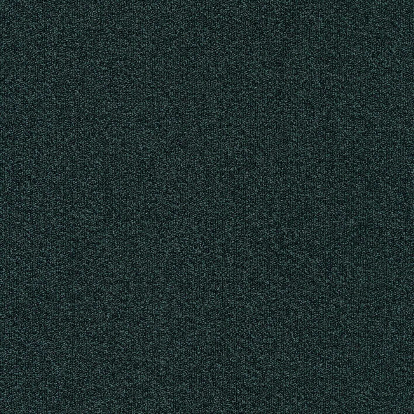 Millennium Nxtgen573