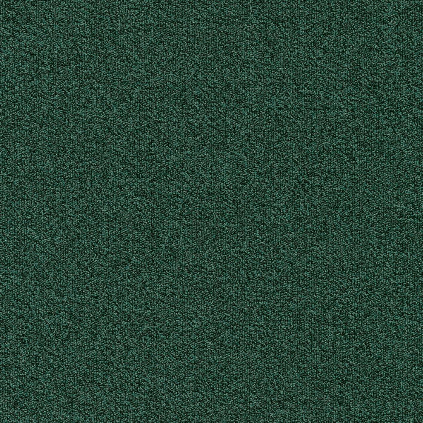 Millennium Nxtgen695