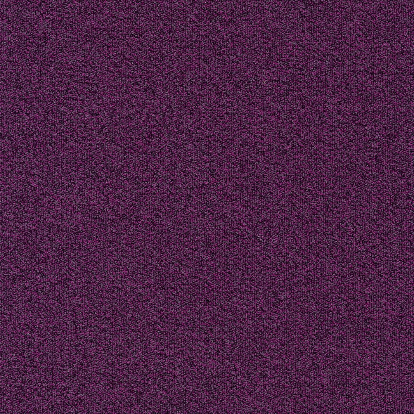 Millennium Nxtgen411