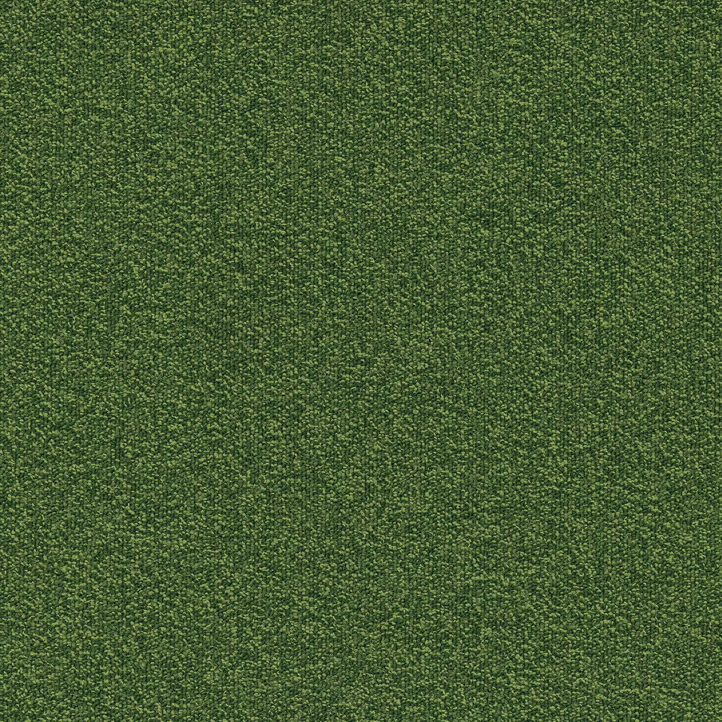 Millennium Nxtgen669