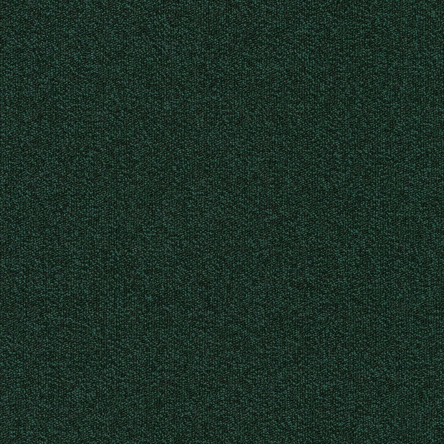 Millennium Nxtgen684