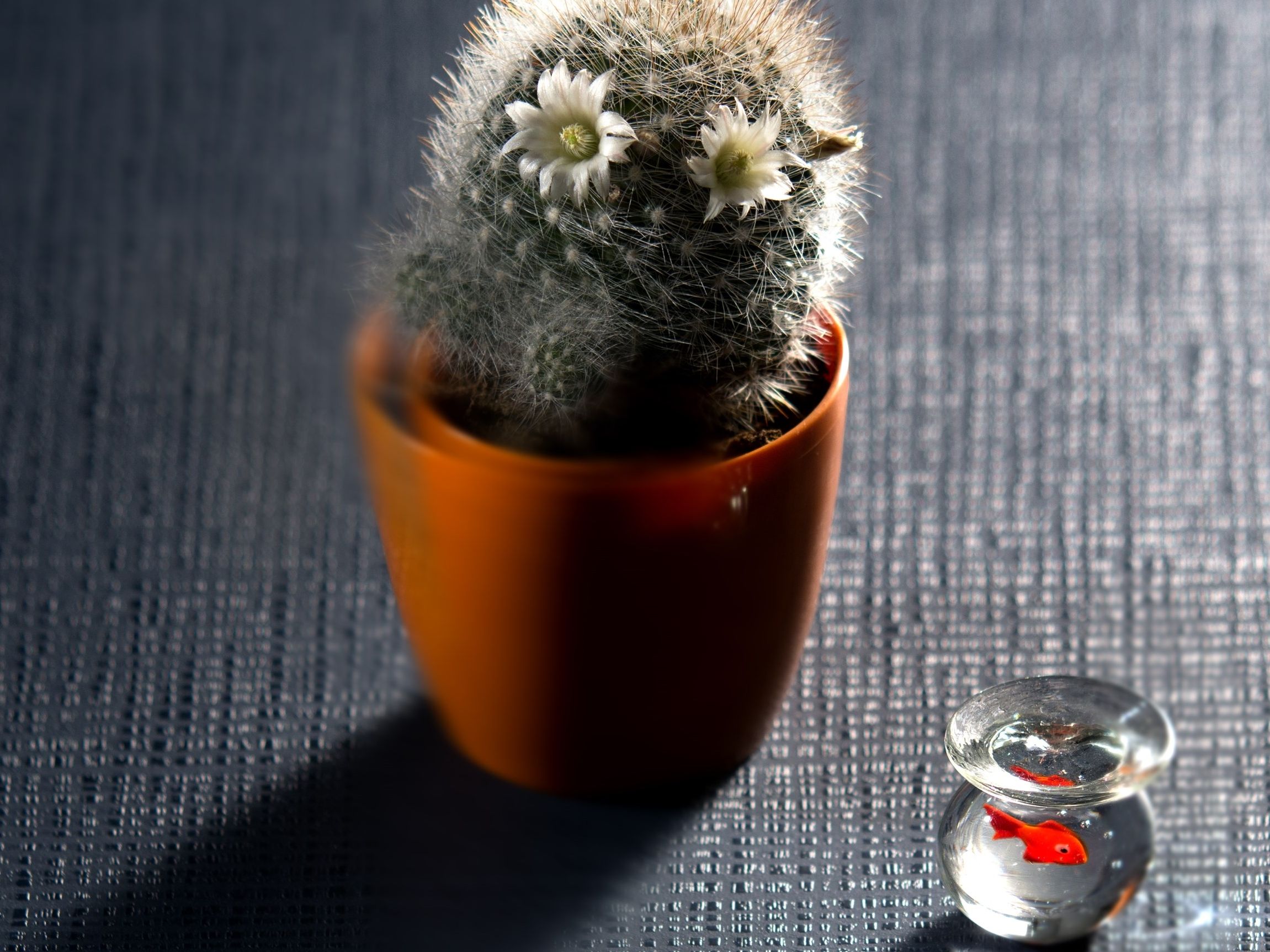 NADIR by Cleaf - Finitura