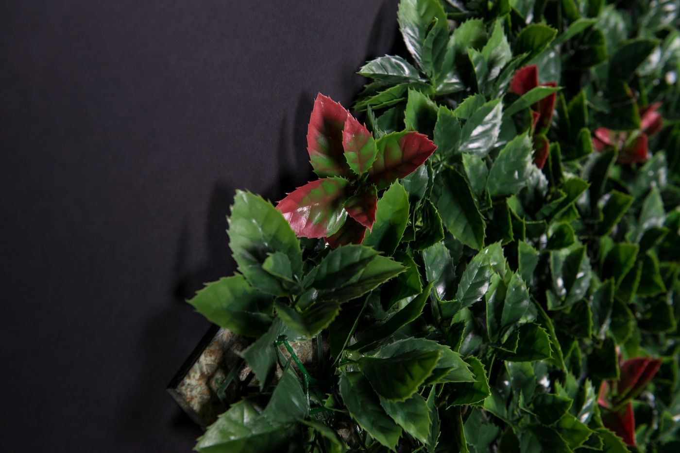 PHOTINIA by VGnewtrend - Quadro vegetale - 2