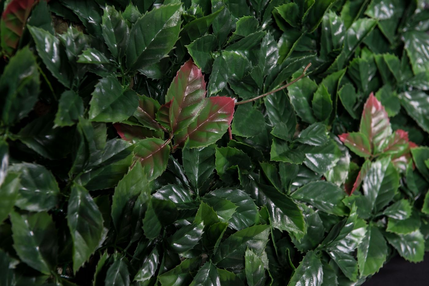 PHOTINIA by VGnewtrend - Quadro vegetale - 3