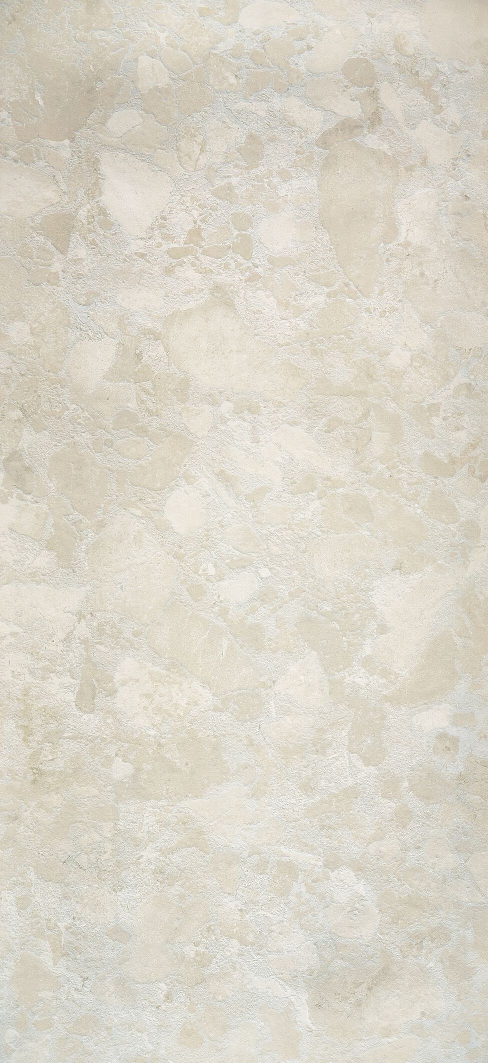 Greige Light 120x260