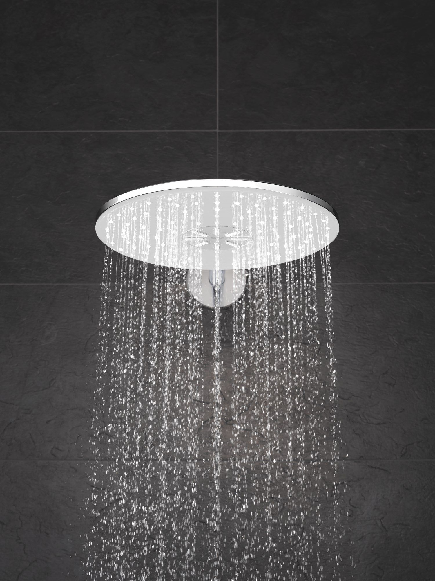 RAINSHOWER SMARTACTIVE 310 Wallmounted overhead shower Wallmounted 2spray overhead shower