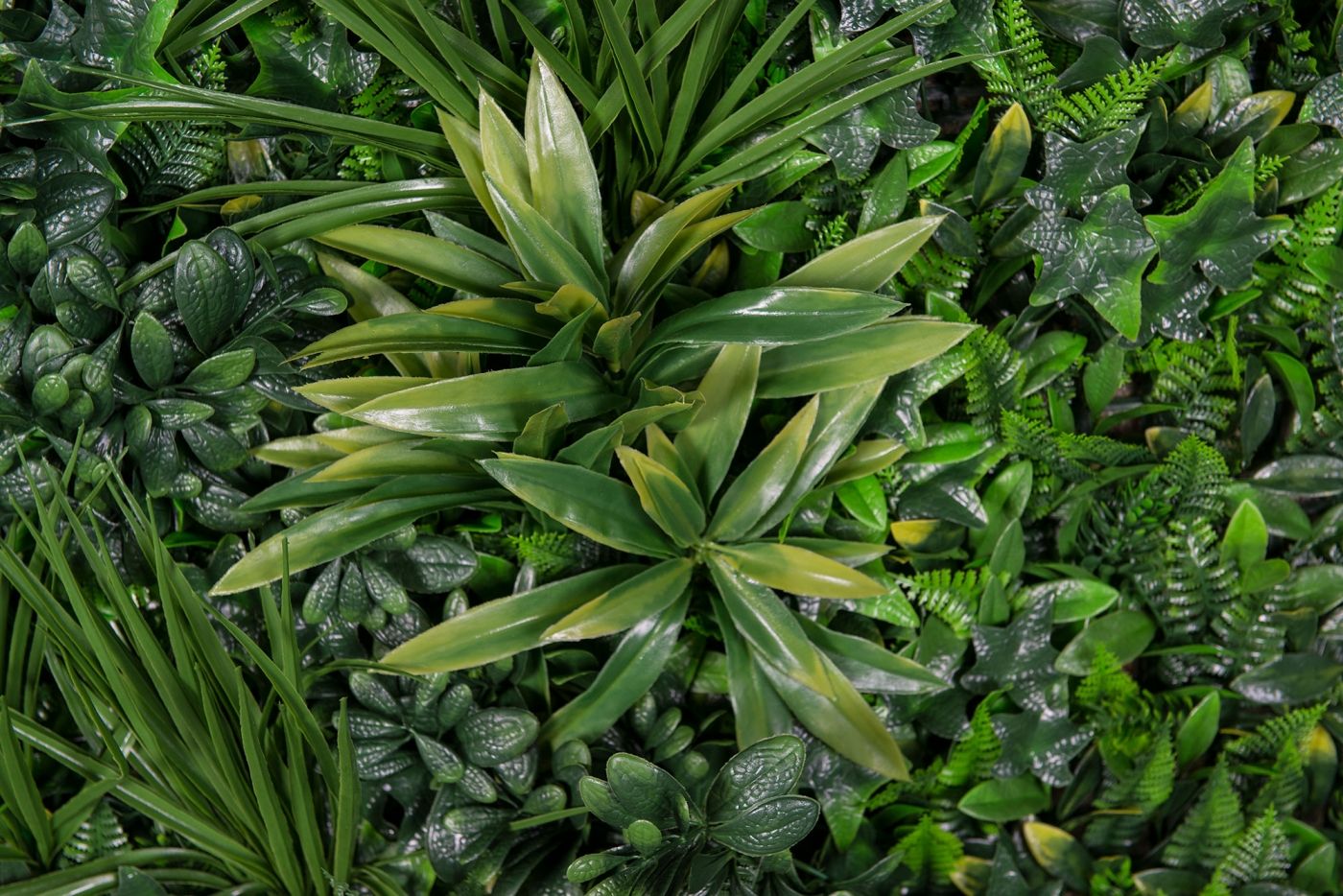 RIO by VGnewtrend - Quadro vegetale - 3