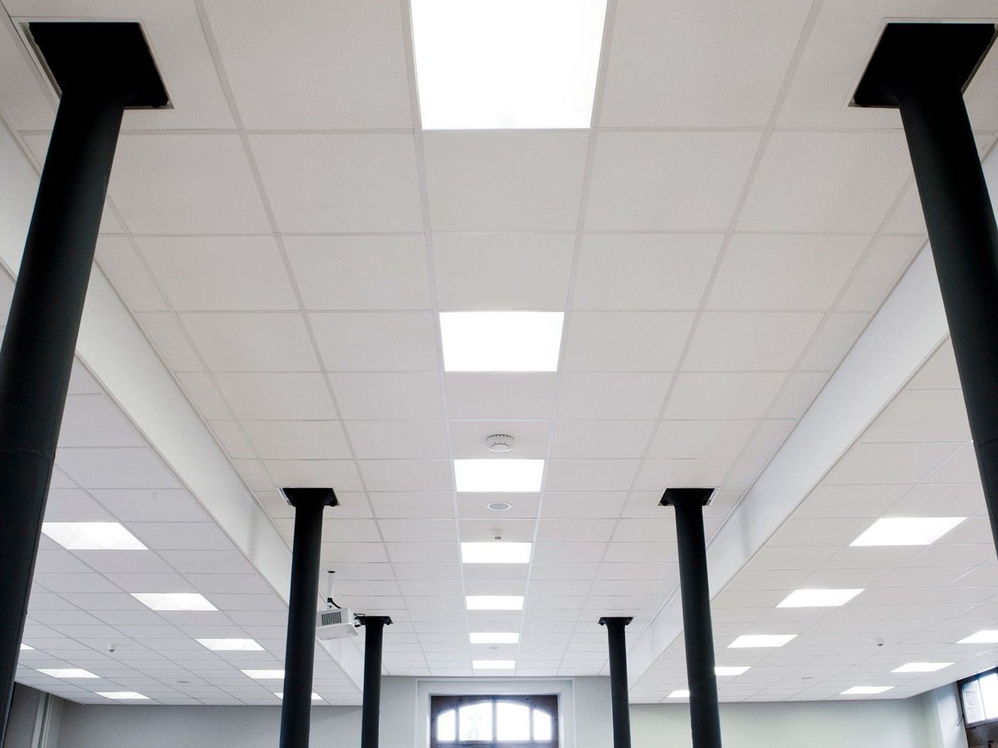 Rockfon Pacific® by Rockfon - Pannelli per controsoffitto acustico in lana di roccia