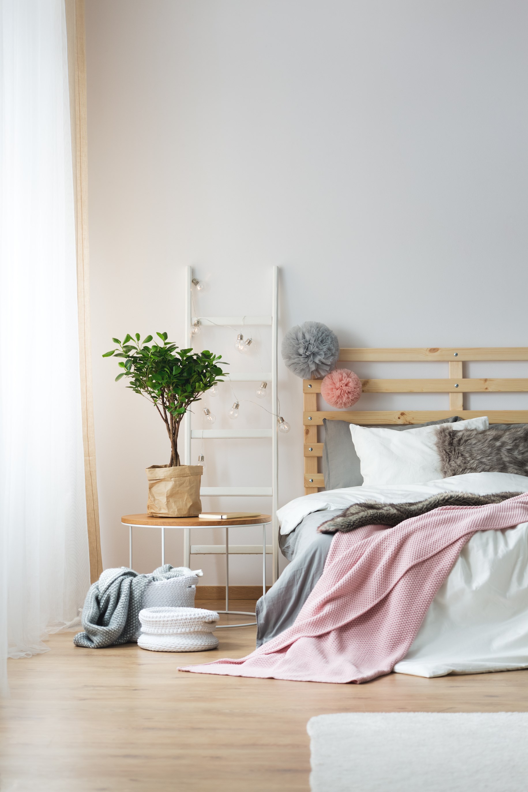 SILDOMUS SANA by San Marco - Idropittura ai silicati - 3