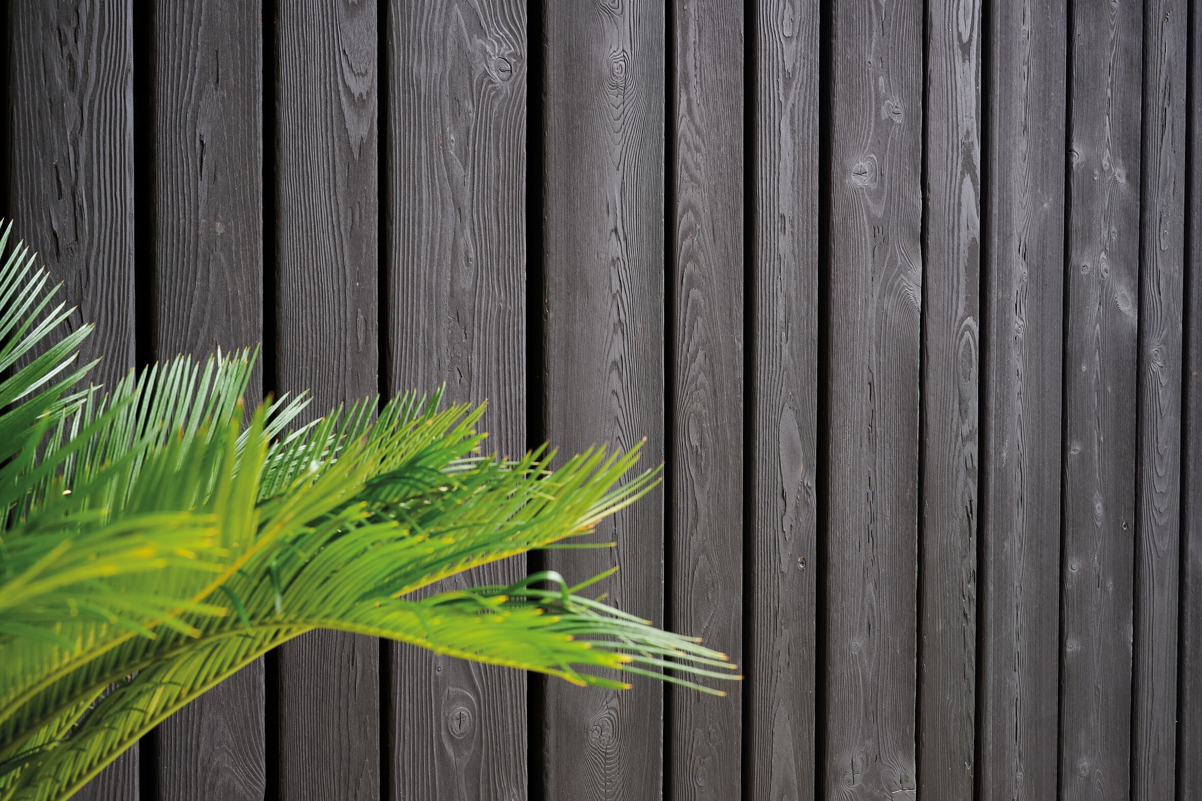 ARDES FLAME TRADITIONAL by Sapiens - Rivestimento / Decking in larice - 5