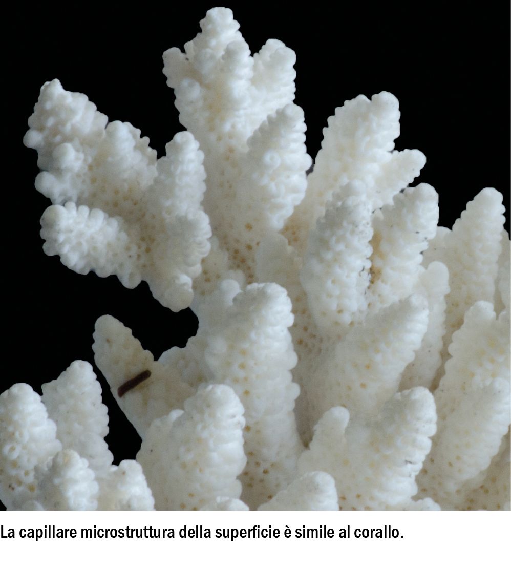 StarTop by Baumit - Finitura per facciate - 4