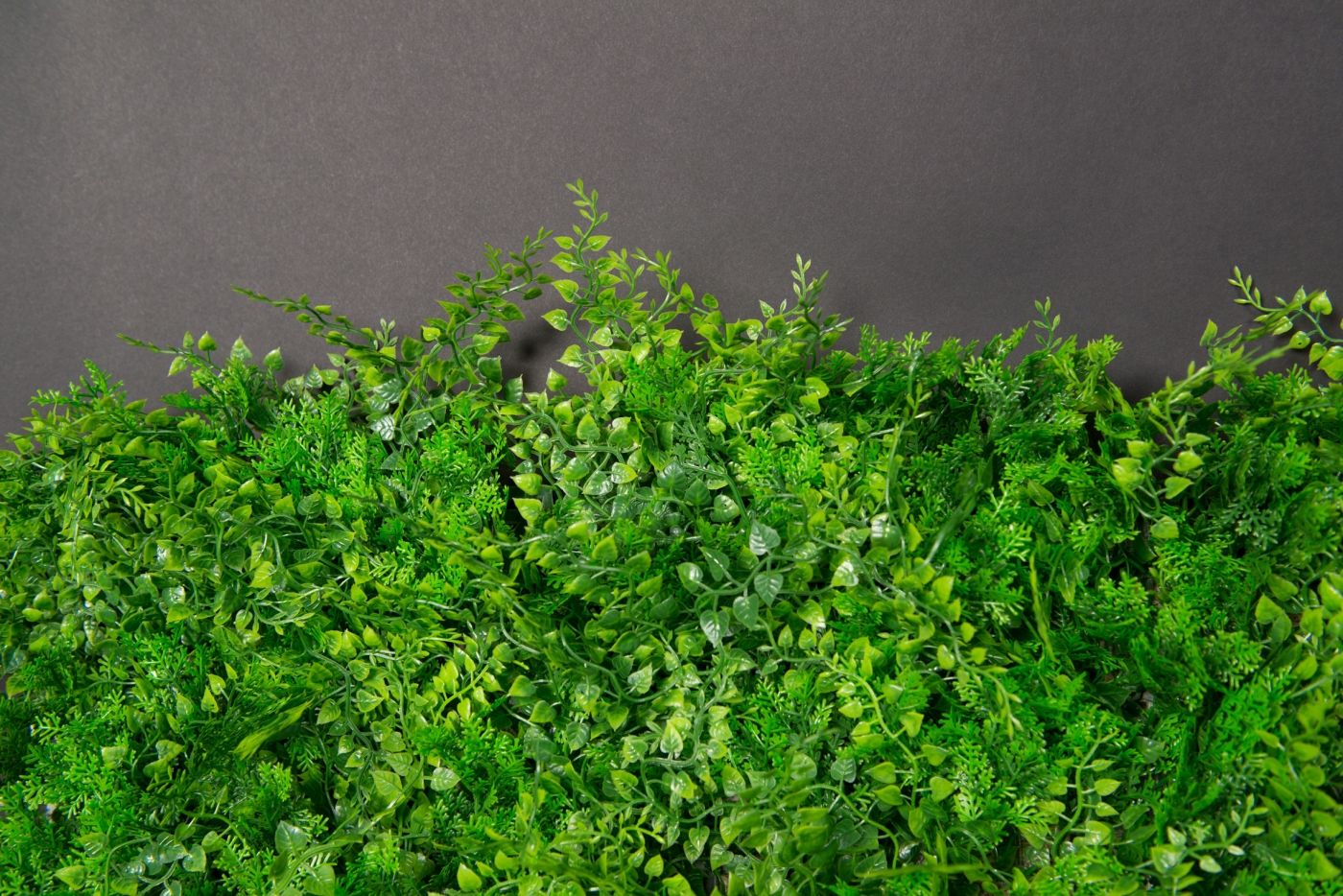 TUNDRA by VGnewtrend - Quadro vegetale - 3