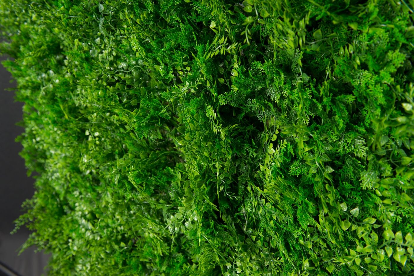 TUNDRA by VGnewtrend - Quadro vegetale - 5