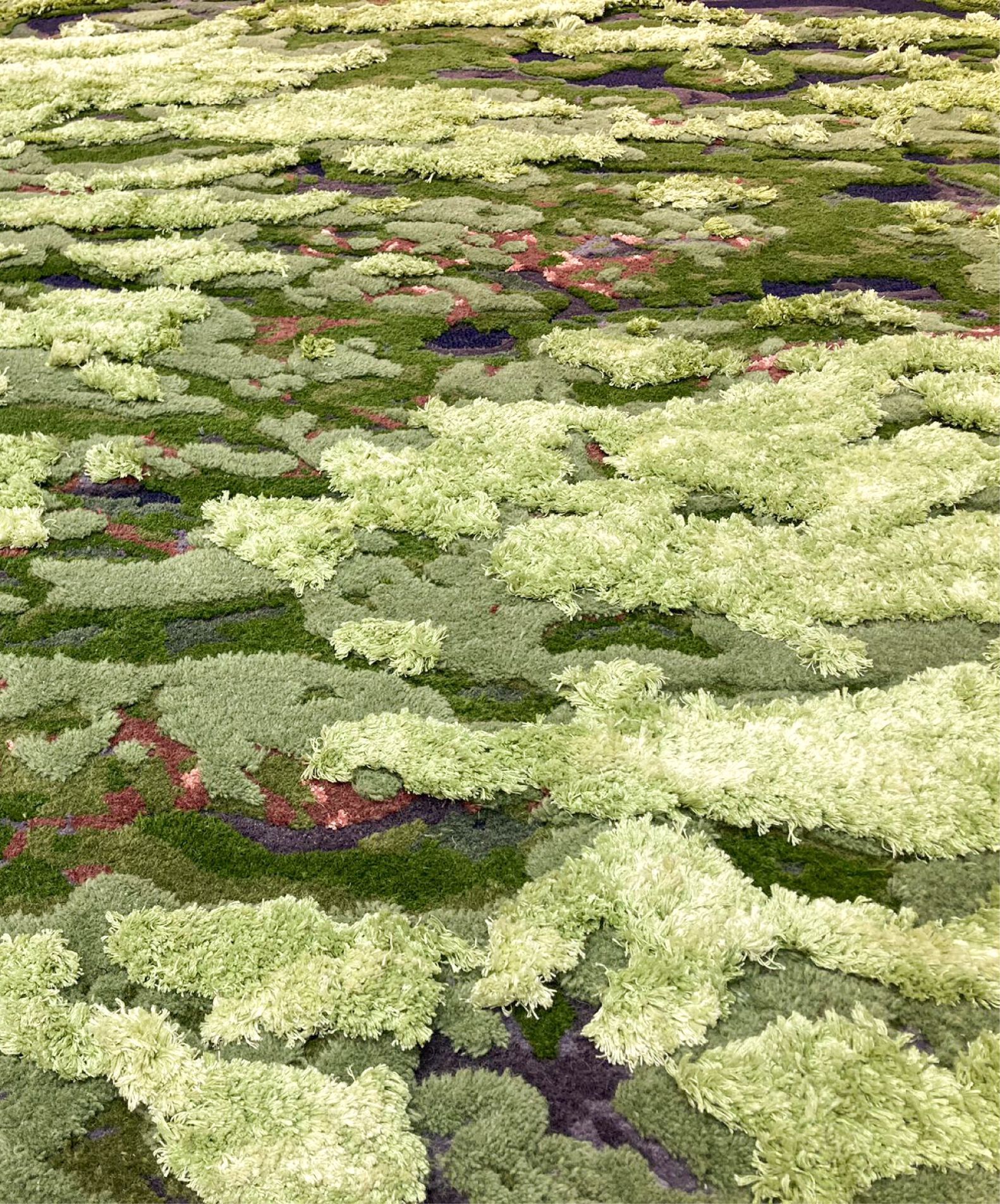 MYSTERIOUS MOSS by Tapis Rouge - Tappeto rettangolare taftato a mano - 5