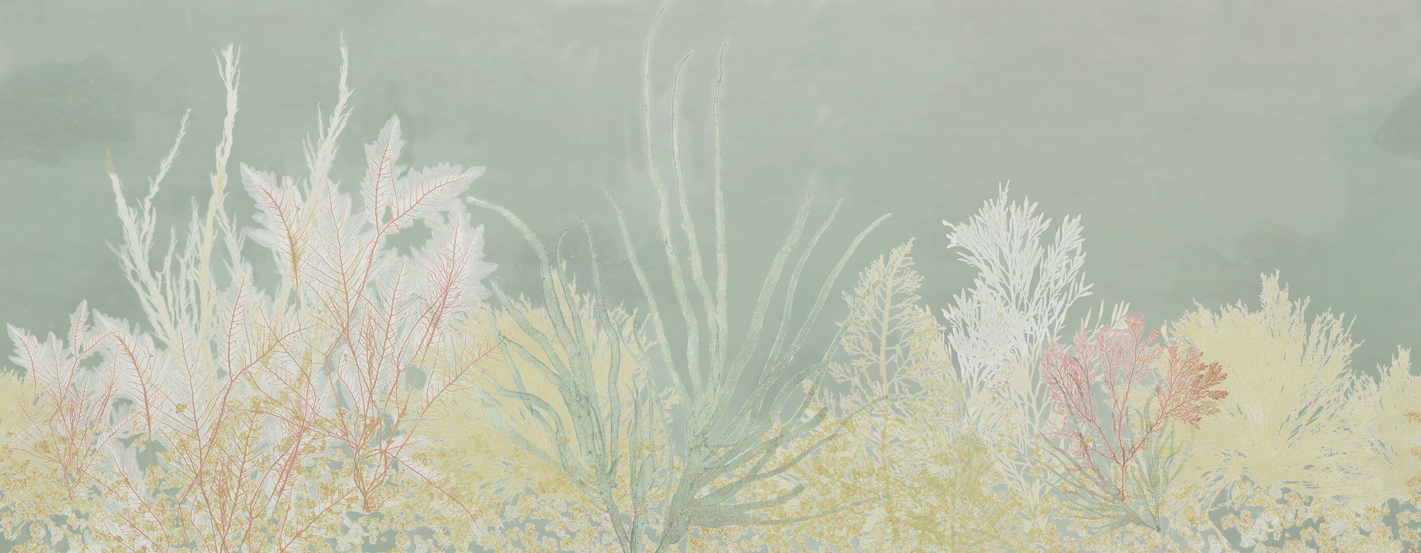 ALGIFE by Wall&decò - Carta da parati impermeabile - 2