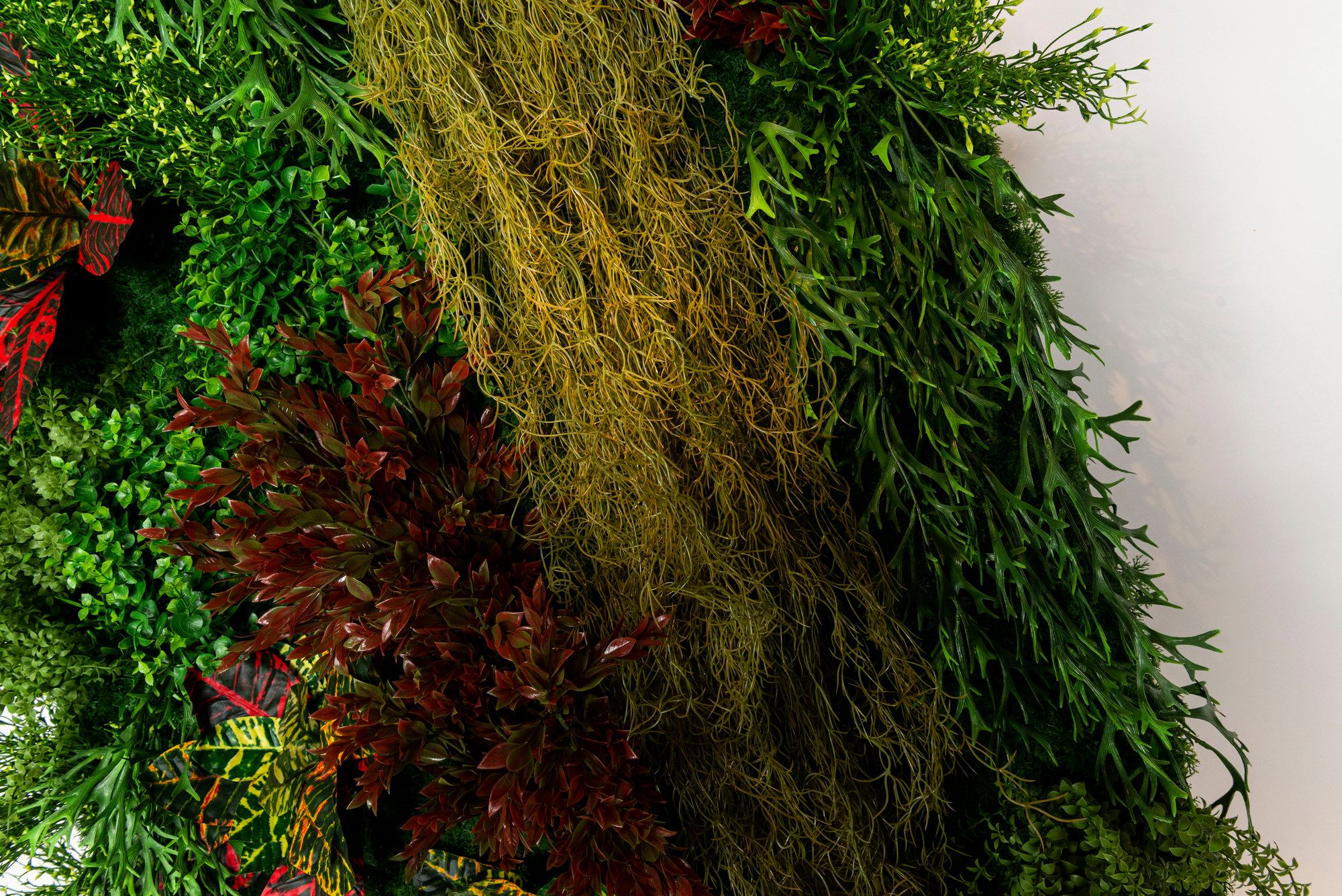 CADDO by VGnewtrend - Quadro vegetale - 10