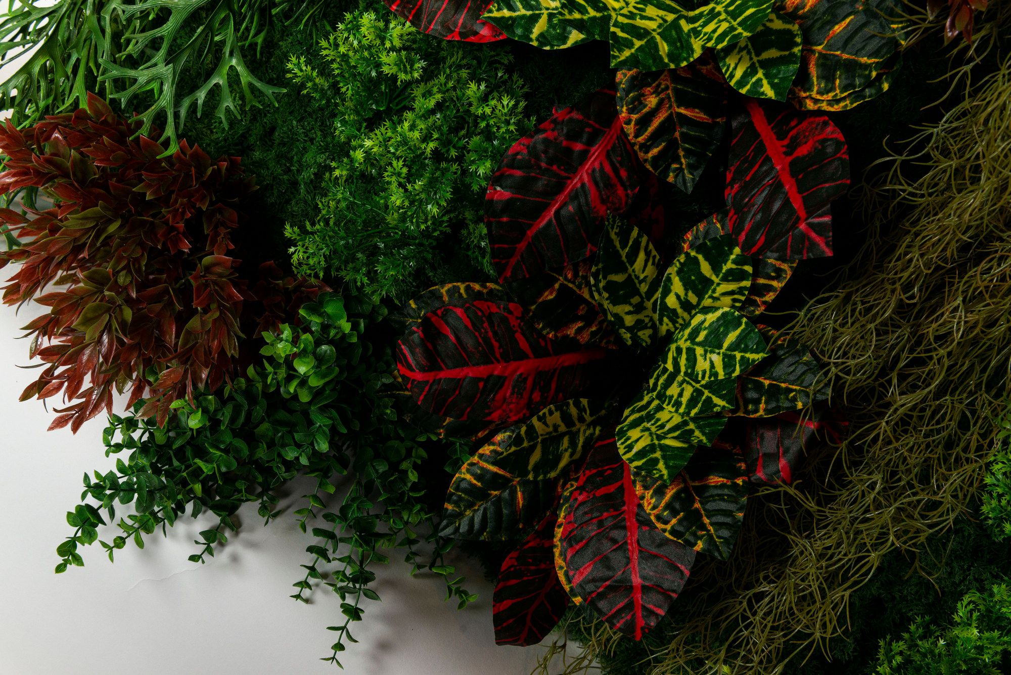 CADDO by VGnewtrend - Quadro vegetale - 4